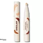 کانسیلر شیگلم مدل Perfect Skin
