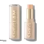 کرم پودر استیکی شیگلم مدل Skin Magnet