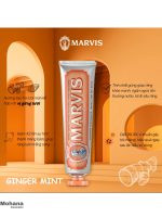 خمیر-دندان-مارویس-مدلGINGER