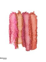 Powder-Blush-Palette2