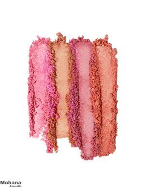 Powder-Blush-Palette2