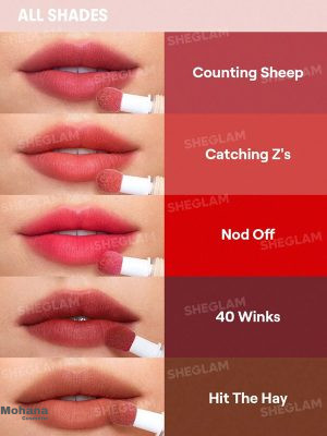 Pout-Pillow-Cushion-Matte-Liquid-Lipstick-colors