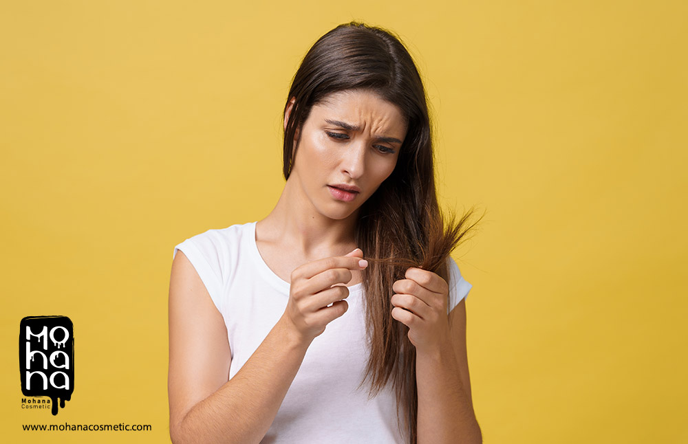 موخوره-چیست؟-علت،-درمان-موخوره-و-روش‌های-جلوگیری-از-موخوره-بدون-کوتاه-کردن-مو