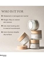 Rice-cream-im-from-4