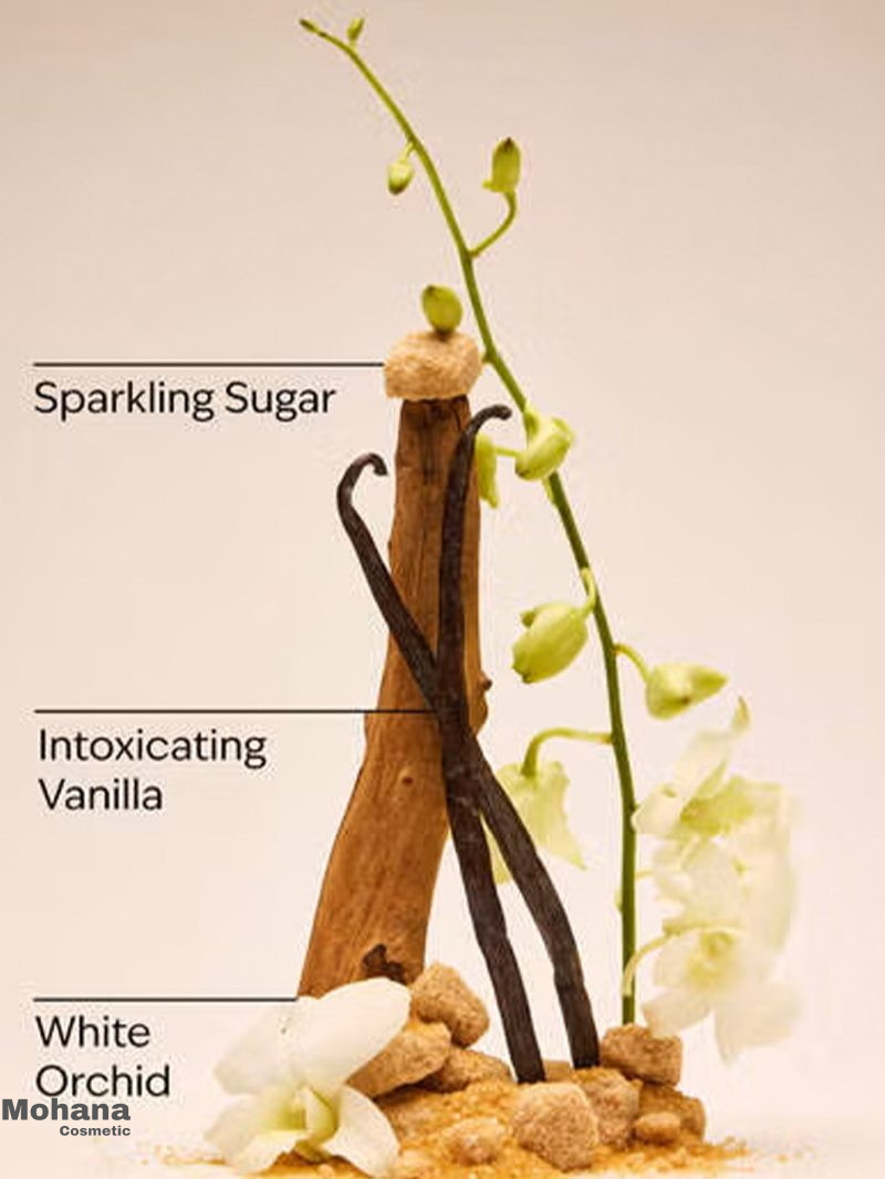 شامپو بدن بث اند بادی رایحه Warm Vanilla Sugar - Image 2