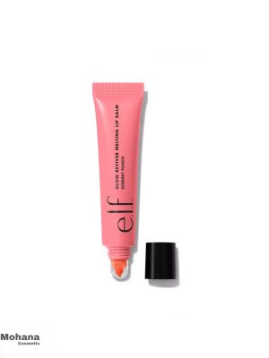 Sherbet-Punch