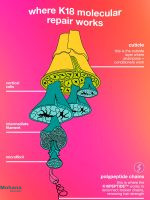 ماسک مو ترمیم کننده K18 مدل Leave in Molecular - تصویر 7